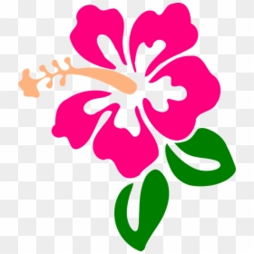 Hibiscus Clip Art, HD Png Download - png flowers vectors