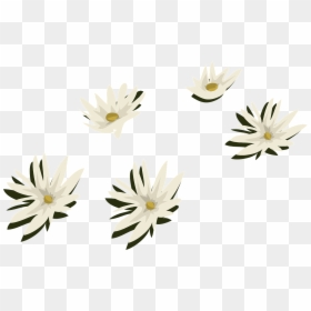 Plantas De Agua Png, Transparent Png - white flower png