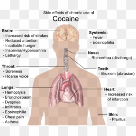 Effects Of Cocaine, HD Png Download - cocaine png