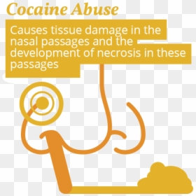 Cocaine Peptic Ulcer, HD Png Download - cocaine png