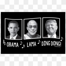 Obama Llama Ding Dong Shirt, HD Png Download - obama png