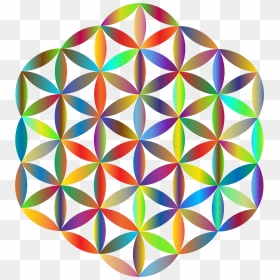 Flower Of Life Color, HD Png Download - flower of life png
