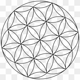 Flower Of Life Small, HD Png Download - flower of life png