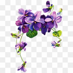 Purple Flower Borders Png, Transparent Png - purple flowers png