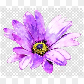 Purple Watercolour Flowers Png, Transparent Png - purple flowers png