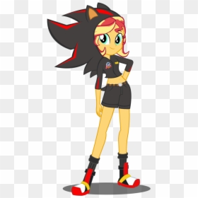 Shadow The Hedgehog Sunset Shimmer, HD Png Download - shadow the hedgehog png