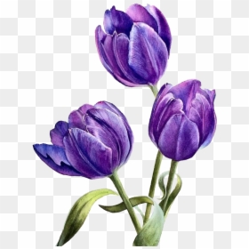 Purple Watercolor Flower Transparent, HD Png Download - purple flowers png