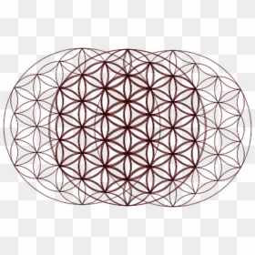 Flower Of Life Gold Png, Transparent Png - flower of life png