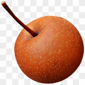 Asian Pear Png, Transparent Png - pear png