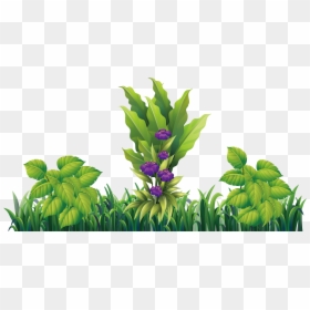 Hidden Ginger, HD Png Download - purple flowers png