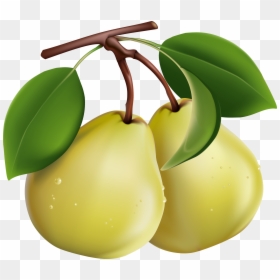 Pears Clipart Png, Transparent Png - pear png