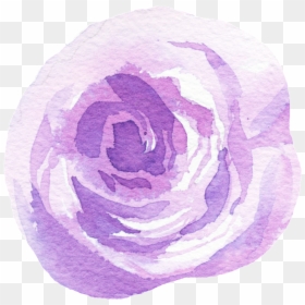 Red Cabbage, HD Png Download - purple flowers png