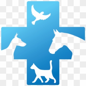 Veterinary Doctor Logo , Transparent Cartoons - Veterinary Doctor Logo, HD Png Download - doctor logo png
