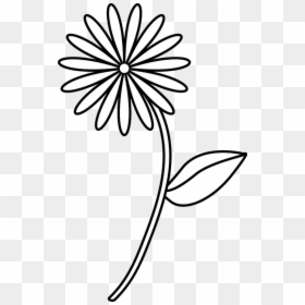 Flower Drawing At Getdrawings - Simple Easy Flower Drawings, HD Png Download - flower with stem png
