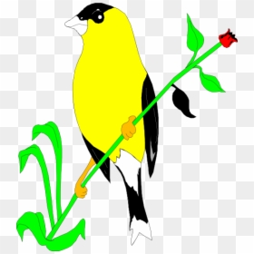 Goldfinch On A Flower Stem Svg Clip Arts - Gambar Hewan Dan Bunga, HD Png Download - flower with stem png