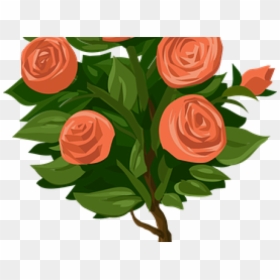 Transparent Flower Bush Png - Rosebush Clipart, Png Download - thorn bush png
