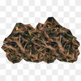 Triangle, HD Png Download - thorn bush png