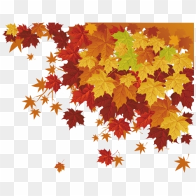 Transparent Deciduous Trees Png - Transparent Vector Fall Leaves, Png Download - autumn trees png