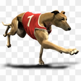 Greyhound Cartoon Transparent Background , Png Download - Greyhound Png, Png Download - greyhound png