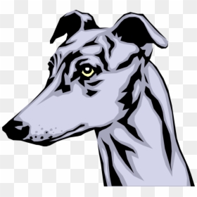 Vector Illustration Of Greyhound Race Dog Head - Greyhound Wall Clock, HD Png Download - greyhound png
