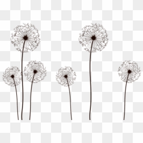 Dandelion Clipart Large - Transparent Dandelion Vector, HD Png Download - dandelion seed png