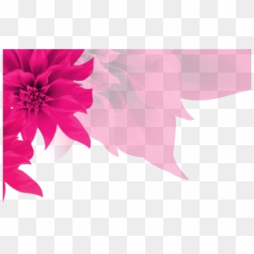 Fundo Rosa Com Flores Png, Transparent Png - fundo rosa png