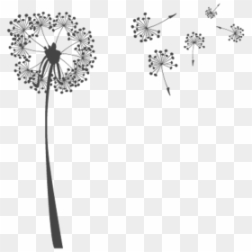 Transparent Pretty Flower Clipart - Transparent Background Dandelion Clipart, HD Png Download - dandelion seed png