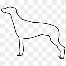 Greyhound Png, Transparent Png - greyhound png