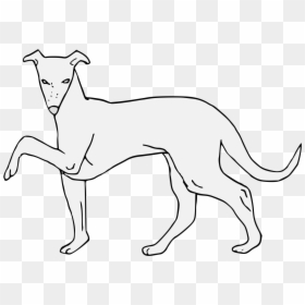Rampur Greyhound, HD Png Download - greyhound png