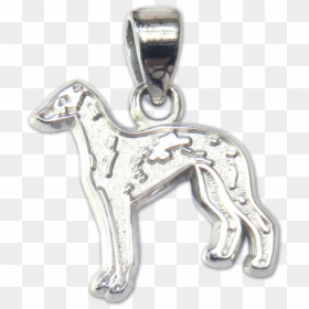 Italian Greyhound Pendant - Whippet, HD Png Download - greyhound png