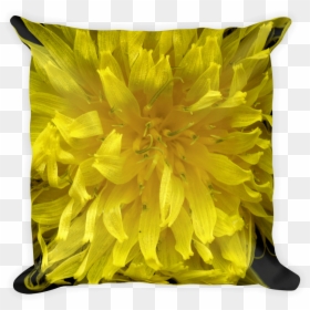 Sunflower, HD Png Download - dandelion seed png