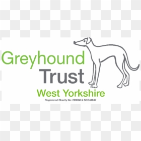 Retired Greyhound Trust, HD Png Download - greyhound png