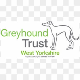 Retired Greyhound Trust, HD Png Download - greyhound png