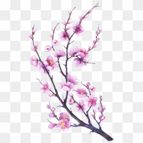 Made From Eggs, Oil, Water, Flour And Salt - Watercolor Painting, HD Png Download - apple blossom png