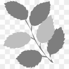 Leaves Twig Gray - Spring Clip Art, HD Png Download - rose leaf png