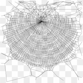 Transparent Zentangle Png - Transparent Background Real Spider Web Png, Png Download - white spider web png