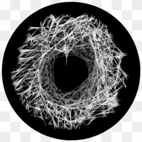 Cave Gobo, HD Png Download - white spider web png