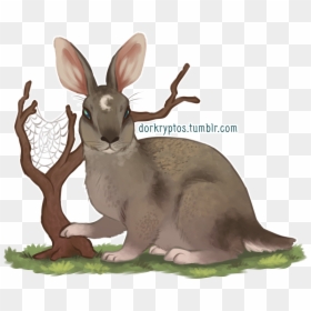 Guardians Of Ga’hoole Wiki - Kangaroo, HD Png Download - spiderwebs png