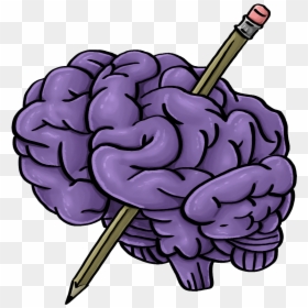 Taylor"s Brain Logo - Illustration, HD Png Download - brain logo png
