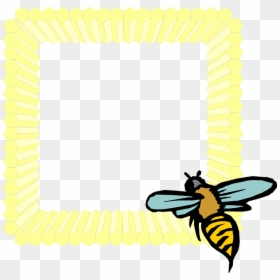 Transparent Honeycomb Clipart Black And White - Frame Honey Bee Png, Png Download - bee.png