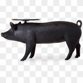 Moooi Pig, HD Png Download - png pig