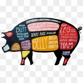 Parts Of Pig Png, Transparent Png - png pig