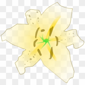 Lily Family, HD Png Download - gold floral png