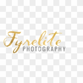 Photography, HD Png Download - desert shrub png