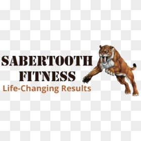 Fitness Boot Camp, HD Png Download - saber tooth tiger png