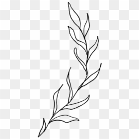 #freetoedit #leaves #leaf #tree #nature #bush #bushes - Sketch, HD Png Download - branch with leaves png