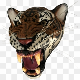 Portable Network Graphics, HD Png Download - saber tooth tiger png