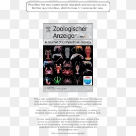 Website, HD Png Download - seta vermelha png