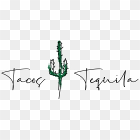 Logo - Logo Tacos And Tequila, HD Png Download - tacos al pastor png