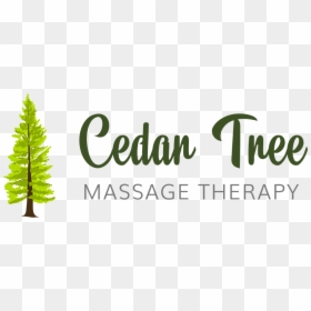 Cedar Tree Massage Therapy - Graphic Design, HD Png Download - cedar tree png